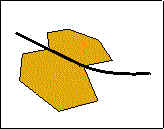 wpeD.jpg (3985 bytes)